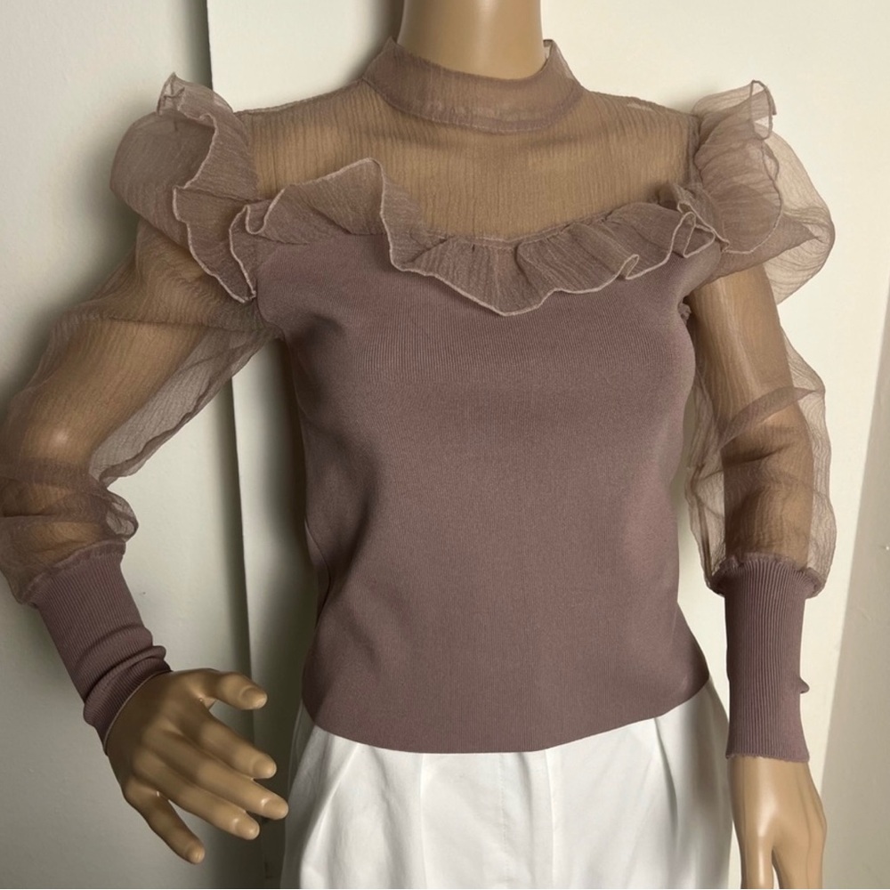 Zara Sheer Ruffle Top - Picture 3 of 5